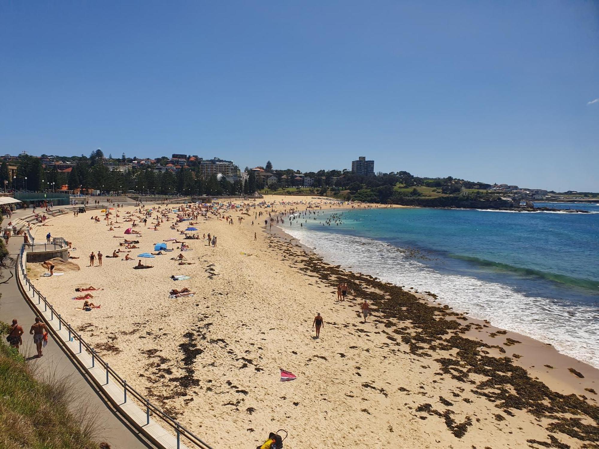 Podbed Coogee Beachside Sydney Eksteriør bilde